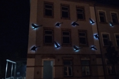 Madarak éjszaka